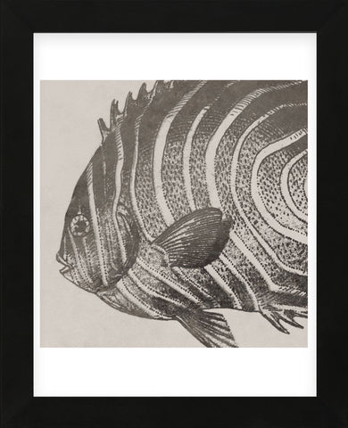 Vintage Fish II (Framed) -  Sparx Studio - McGaw Graphics