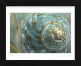 Soft Turbo Shell (Framed) -  Sparx Studio - McGaw Graphics