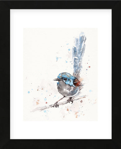 Mischief in the Making (Variegated Fairy Wren) (Framed) -  Sillier than Sally - McGaw Graphics