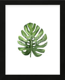 Monstera I (Framed) -  Ann Solo - McGaw Graphics