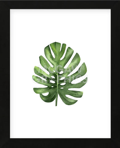 Monstera I (Framed) -  Ann Solo - McGaw Graphics