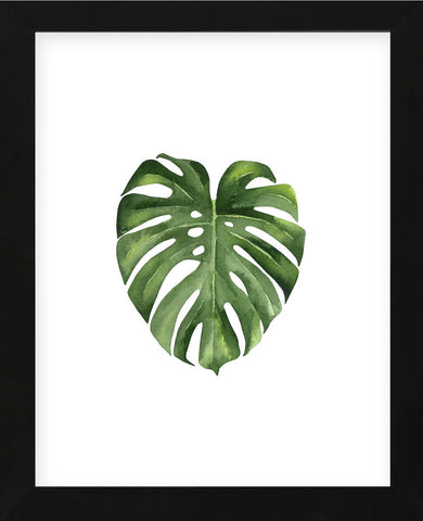 Monstera II (Framed) -  Ann Solo - McGaw Graphics