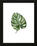 Monstera III (Framed) -  Ann Solo - McGaw Graphics