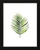 Palm Leaf I (Framed) -  Ann Solo - McGaw Graphics