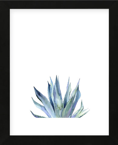 Agave II (Framed) -  Ann Solo - McGaw Graphics