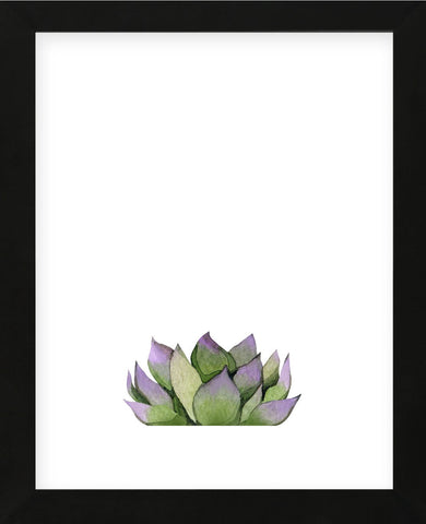 Succulent (Framed) -  Ann Solo - McGaw Graphics