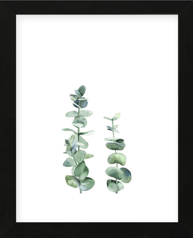 Eucalyptus I (Framed) -  Ann Solo - McGaw Graphics