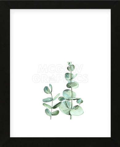Eucalyptus II (Framed) -  Ann Solo - McGaw Graphics