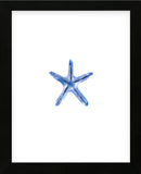 Starfish (Framed) -  Ann Solo - McGaw Graphics