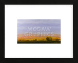 Golden Light on Blue Mountains (Framed) -  Todd Telander - McGaw Graphics