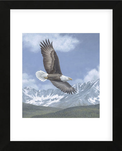 Soaring High (Framed) -  Todd Telander - McGaw Graphics