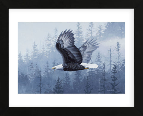 Spirit of the Forest  (Framed) -  Todd Telander - McGaw Graphics