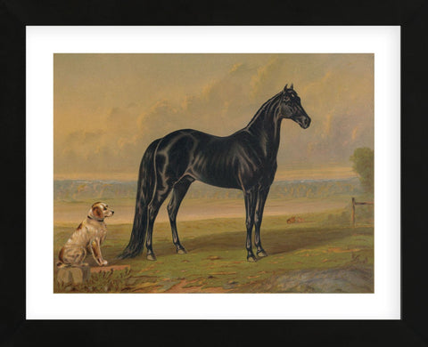 America‚Äôs Renowned Stallions, c. 1876 I (Framed) -  Vintage Reproduction - McGaw Graphics