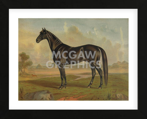 America‚Äôs Renowned Stallions, c. 1876 II (Framed) -  Vintage Reproduction - McGaw Graphics