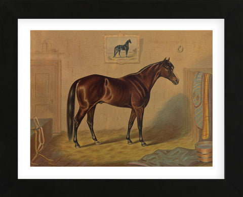 America’s Renowned Stallions, c. 1876 III (Framed) -  Vintage Reproduction - McGaw Graphics