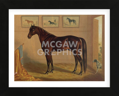 America’s Renowned Stallions, c. 1876 IV (Framed) -  Vintage Reproduction - McGaw Graphics