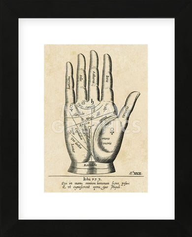 Palmistry: Palm Diagram (Framed) -  Vintage Reproduction - McGaw Graphics
