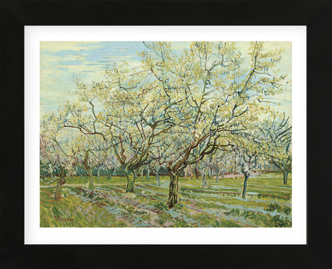 The White Orchard, 1888 (Framed) -  Vincent van Gogh - McGaw Graphics