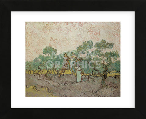 Women Picking Olives, 1889 (Framed) -  Vincent van Gogh - McGaw Graphics