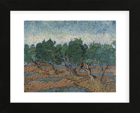 Olive Grove, 1889 (Framed) -  Vincent van Gogh - McGaw Graphics