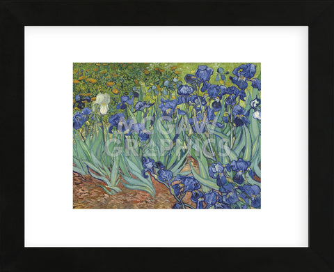Irises in the Garden  (Framed) -  Vincent van Gogh - McGaw Graphics