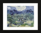The Olive Trees, 1889  (Framed) -  Vincent van Gogh - McGaw Graphics