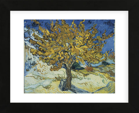 The Mulberry Tree, 1889  (Framed) -  Vincent van Gogh - McGaw Graphics