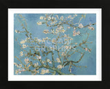 Almond Blossom, 1890 (Framed) -  Vincent van Gogh - McGaw Graphics