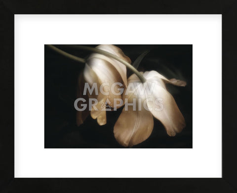 Dew Drops (Framed) -  David Lorenz Winston - McGaw Graphics