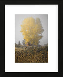 Yellow Tree & Teasel (Framed) -  David Lorenz Winston - McGaw Graphics