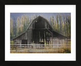 Barn and Poplars (Framed) -  David Lorenz Winston - McGaw Graphics