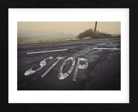 Stop Landscape (Framed) -  David Lorenz Winston - McGaw Graphics