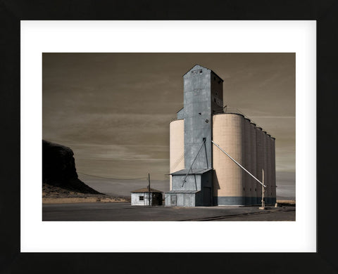 Grain Elevator (Framed) -  David Lorenz Winston - McGaw Graphics