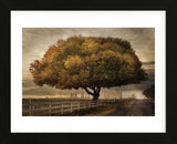 Autumnal Landscape (Framed) -  David Lorenz Winston - McGaw Graphics