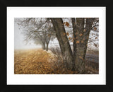 Fall to Winter (Framed) -  David Lorenz Winston - McGaw Graphics