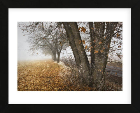 Fall to Winter (Framed) -  David Lorenz Winston - McGaw Graphics