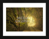 Dream’s Journey (Framed) -  David Lorenz Winston - McGaw Graphics