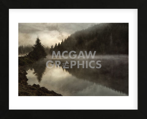Coos Fog (Framed) -  David Lorenz Winston - McGaw Graphics