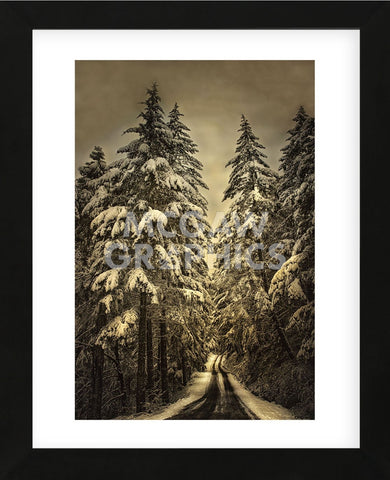 Wagner Creek Snow (Framed) -  David Lorenz Winston - McGaw Graphics