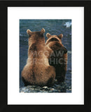 Two Bear Cubs  (Framed) -  Art Wolfe - McGaw Graphics