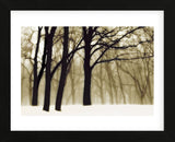 Past Dreams  (Framed) -  David Lorenz Winston - McGaw Graphics