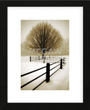 Solitude  (Framed) -  David Lorenz Winston - McGaw Graphics