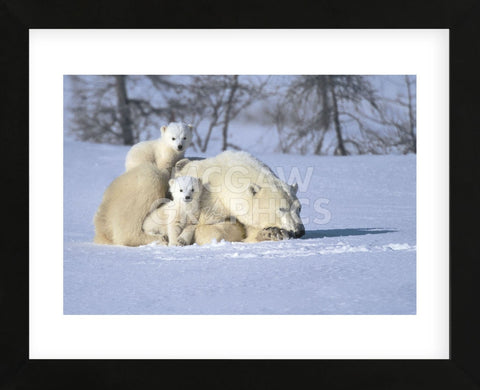 Time Out (Framed) -  Art Wolfe - McGaw Graphics