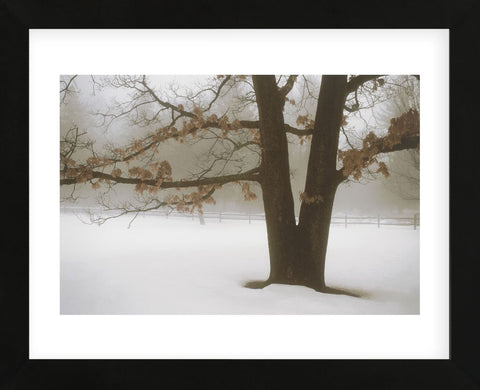 Tranquility  (Framed) -  David Lorenz Winston - McGaw Graphics