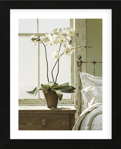 Bedside Orchid (Framed) -  Zhen-Huan Lu - McGaw Graphics