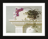 Mantelpiece Orchid (Framed) -  Zhen-Huan Lu - McGaw Graphics