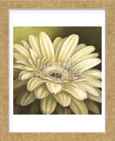 Daisy Portrait (Framed) -  Lisa Audit - McGaw Graphics