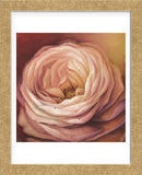 Rose Portrait (Framed) -  Lisa Audit - McGaw Graphics