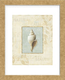 Soothing Words Shells I (Framed) -  Lisa Audit - McGaw Graphics