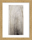 Weave (Framed) -  Candice Alford - McGaw Graphics